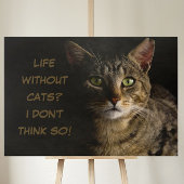 Leven zonder katten? Ik denk het niet. Canvas Afdruk