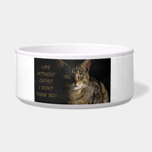 Leven zonder katten? Ik denk het niet. Voerbakje