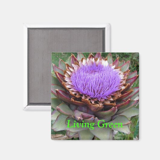 Levend Groen Magneet (Voorkant / Achterkant)