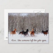 Levend leven...Alsof iemand de poort open heeft ge Briefkaart (Voorkant / Achterkant)