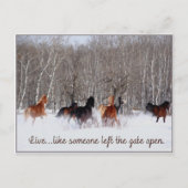 Levend leven...Alsof iemand de poort open heeft ge Briefkaart (Voorkant)