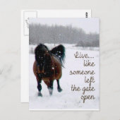 Levend leven...Alsof iemand de poort open heeft ge Briefkaart (Voorkant / Achterkant)