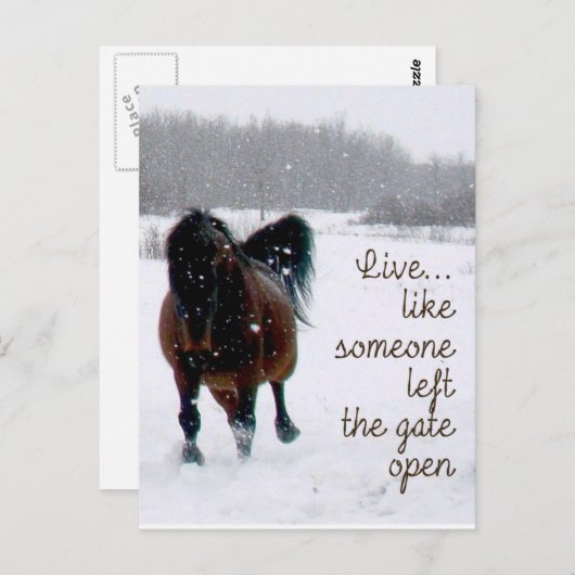 Levend leven...Alsof iemand de poort open heeft ge Briefkaart (Voorkant / Achterkant)