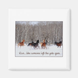 Levend leven...Alsof iemand de poort open heeft ge Magneet