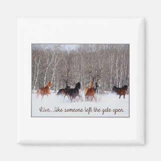 Levend leven...Alsof iemand de poort open heeft ge Magneet