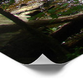 Levend water II-poster Poster (Hoek)