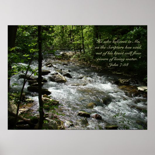 Levend water II-poster Poster (Voorkant)