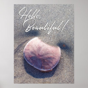 Levend Zanddollarfoto Hallo Mooi Poster