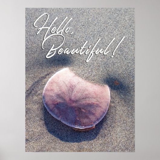 Levend Zanddollarfoto Hallo Mooi Poster (Voorkant)