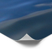 Levende dolfijnen poster (Hoek)