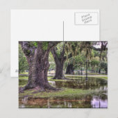 Levende eikoverstroming briefkaart (Voorkant / Achterkant)