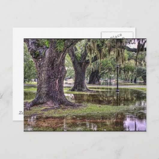 Levende eikoverstroming briefkaart (Voorkant / Achterkant)