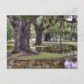 Levende eikoverstroming briefkaart (Voorkant)