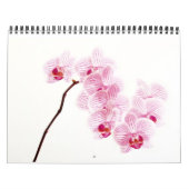 Levende kleur kalender (Hoes)