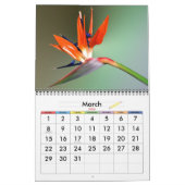 Levende kleur kalender (Mar 2026)