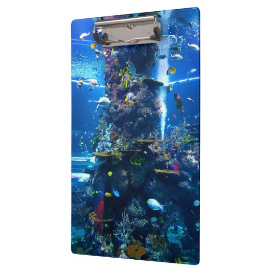 levende koraalrif met vis klembord (Links)