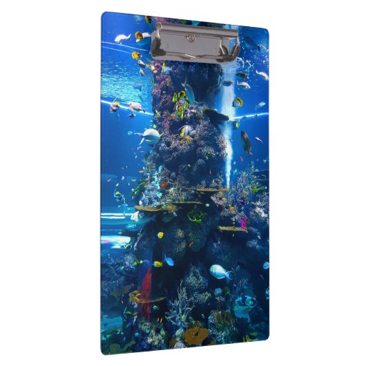 levende koraalrif met vis klembord (Rechts)