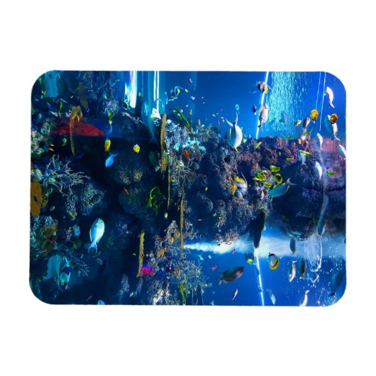 levende koraalrif met vis magneet (Horizontaal)