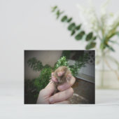 Levende mol in handglimlach.jpg briefkaart (Staand voorkant)