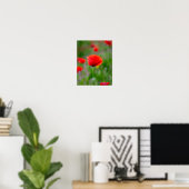 Levende rode klaproos op een weide met wilde bloem poster (Thuiskantoor)