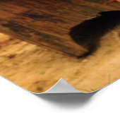 Levende vis te koop aangeboden poster (Hoek)