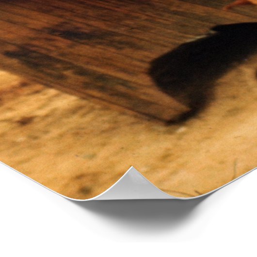 Levende vis te koop aangeboden poster (Hoek)