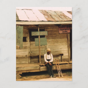 Levende vis voor verkoop briefkaart