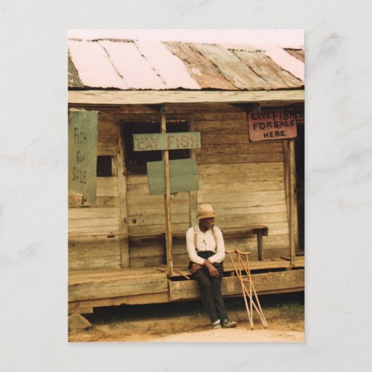 Levende vis voor verkoop briefkaart (Voorkant)