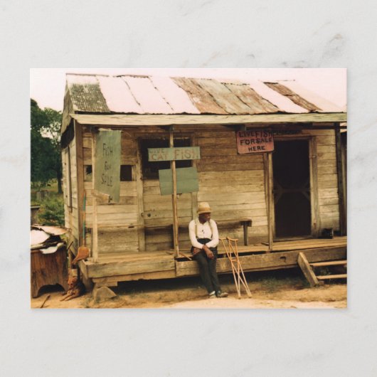 Levende vis voor verkoop briefkaart (Voorkant)