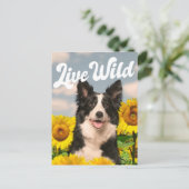 Levende wilde-grenskolonie op zonnebloemen briefkaart (Staand voorkant)