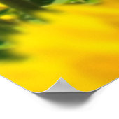 Levende wilde-grenskolonie op zonnebloemen poster (Hoek)