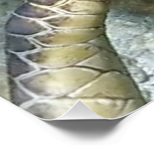 levende Zeeen schildpad Perfect Poster (Hoek)