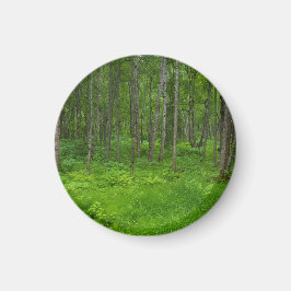 Levendgroene Bosserenigheid Magneet