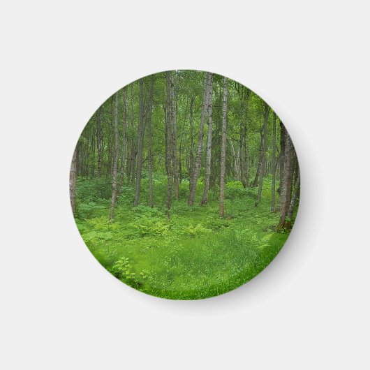 Levendgroene Bosserenigheid Magneet (Voorkant)