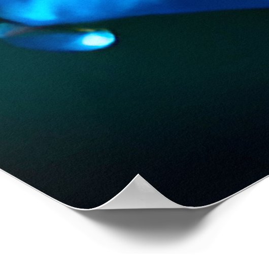 Levendig Blauw Roos met waterdruppels Poster (Hoek)