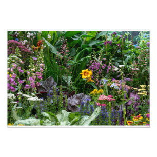 Levendig Bloemenpatroon Voor Een Zomer Tuin Achter Foto Afdruk
