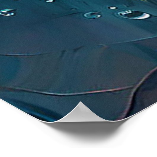 Levendig boeket van rozen poster (Hoek)