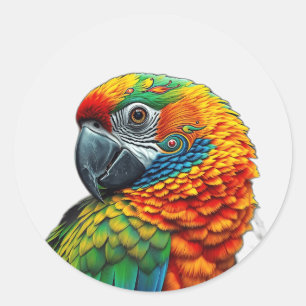 Levendig caleidoscopisch papegaaienpatroon ronde sticker