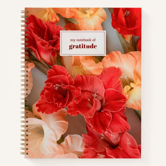 Levendig en kleurrijke gladiolus (aangepaste tekst notitieboek (Voorkant)