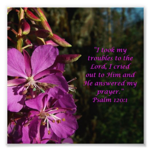 Levendig Flower Scripture Psalm 120:1 Foto afdrukk Afdruk (Voorkant)