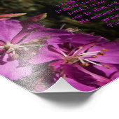 Levendig Flower Scripture Psalm 120:1 Foto afdrukk Afdruk (Hoek)