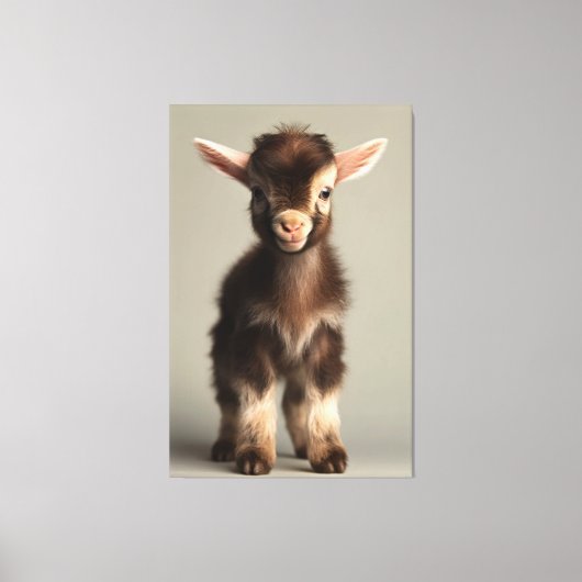 Levendig gekleurd Baby Goat Full Portrait Canvas Afdruk (Voorkant)