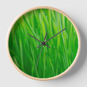 Levendig groen vers tarwegras (Voorkant)