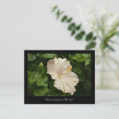 Levendig groot Bleek Hibiscus Briefkaart (Staand voorkant)