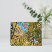 Levendig herfstbos met bomen briefkaart (Staand voorkant)
