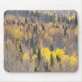 Levendig herfstbos Mousepad Muismat