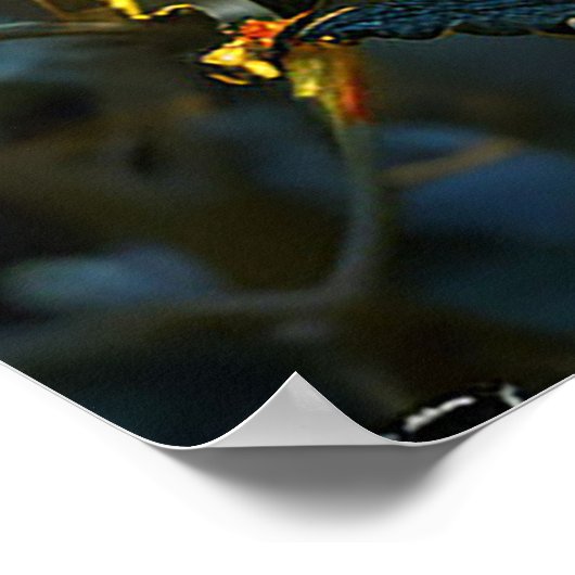 Levendig lieveheersbeestje poster (Hoek)