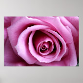 Levendig lila poster (Voorkant)