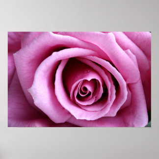 Levendig lila poster