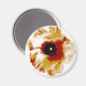 levendig oranje en witte ranunculus magneet (Voorkant / Achterkant)